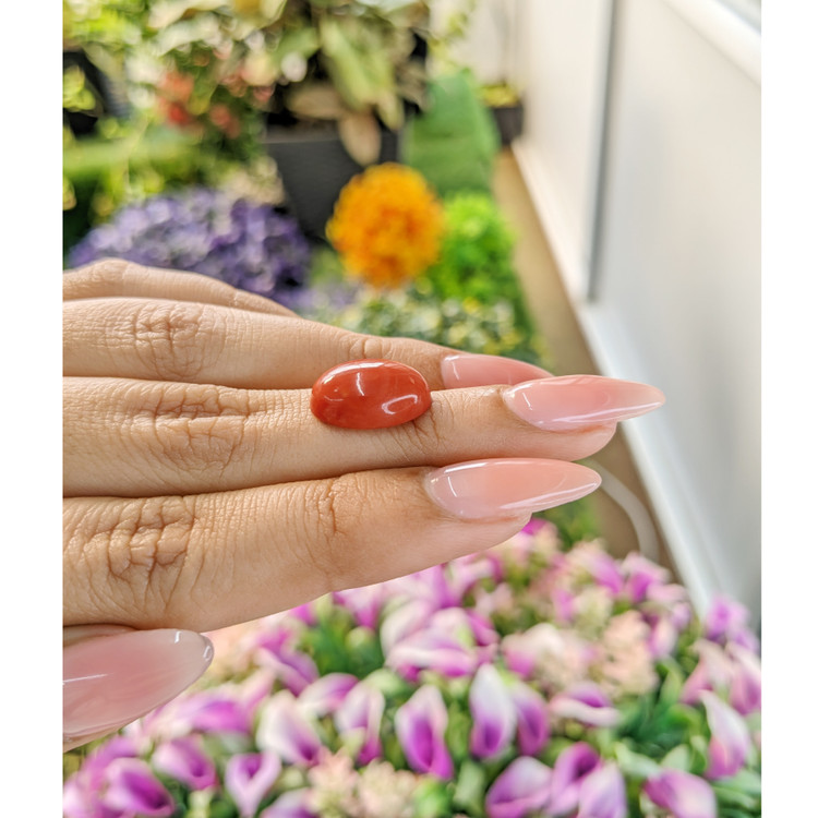 6.63 Ct. Cabochon Coral from Italy