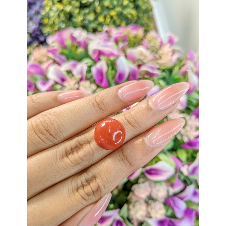 7.51 Ct. Cabochon Coral from Italy