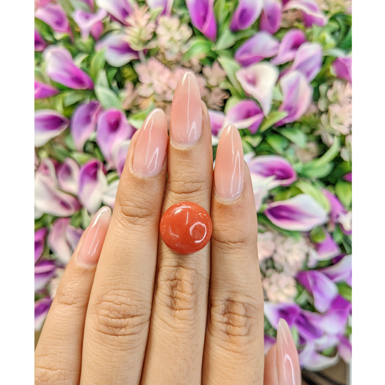 7.51 Ct. Cabochon Coral from Italy