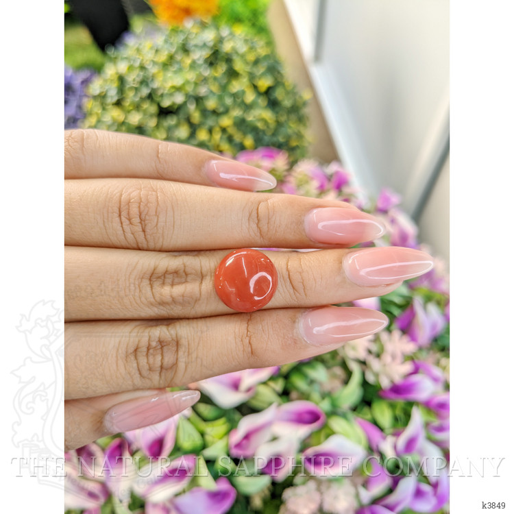 7.51 Ct. Cabochon Coral from Italy