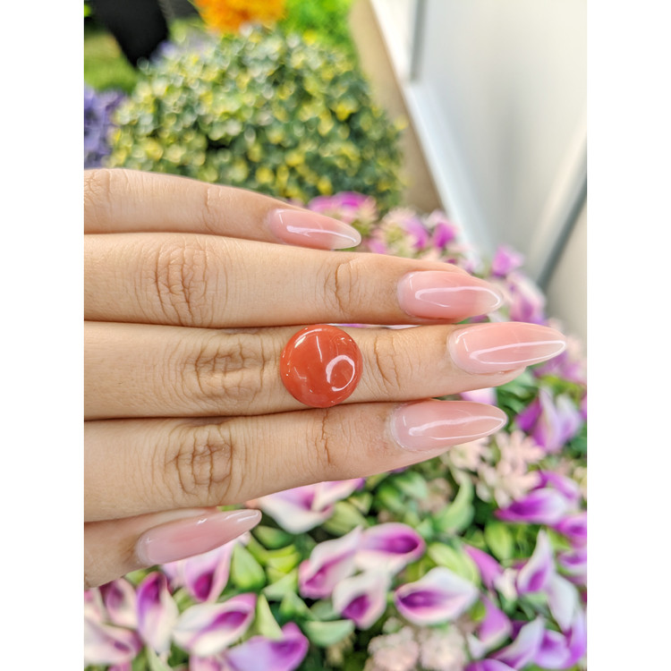 7.51 Ct. Cabochon Coral from Italy