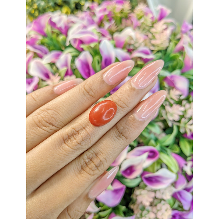 7.56 Ct. Cabochon Coral from Italy