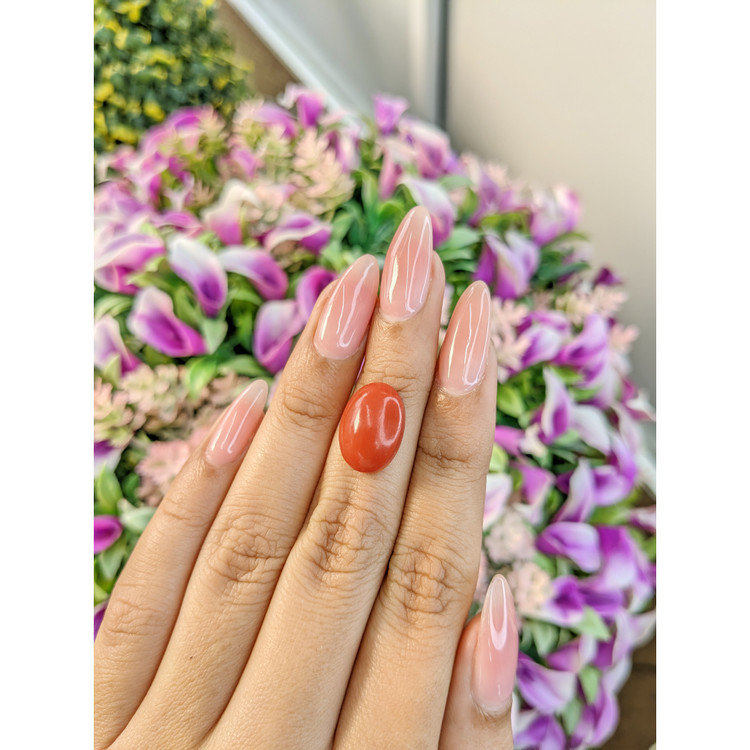 7.56 Ct. Cabochon Coral from Italy