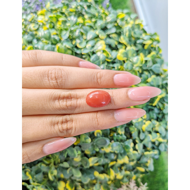 7.56 Ct. Cabochon Coral from Italy