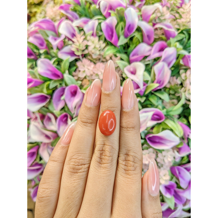 7.56 Ct. Cabochon Coral from Italy