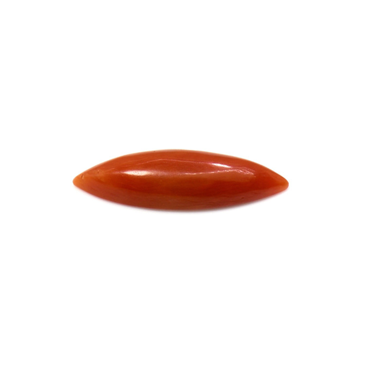 2.63 Ct. Cabochon Coral from Italy