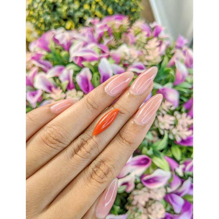 2.63 Ct. Cabochon Coral from Italy