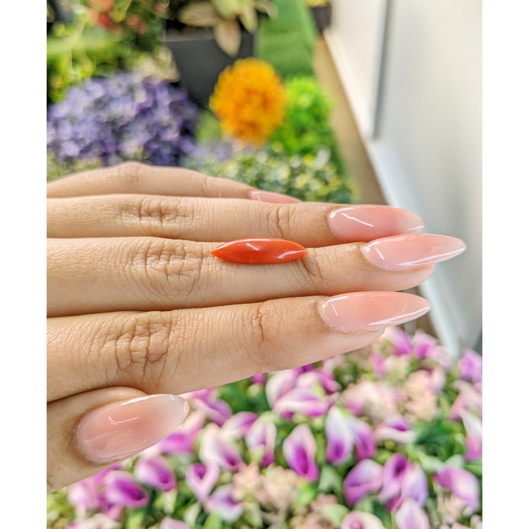 2.63 Ct. Cabochon Coral from Italy