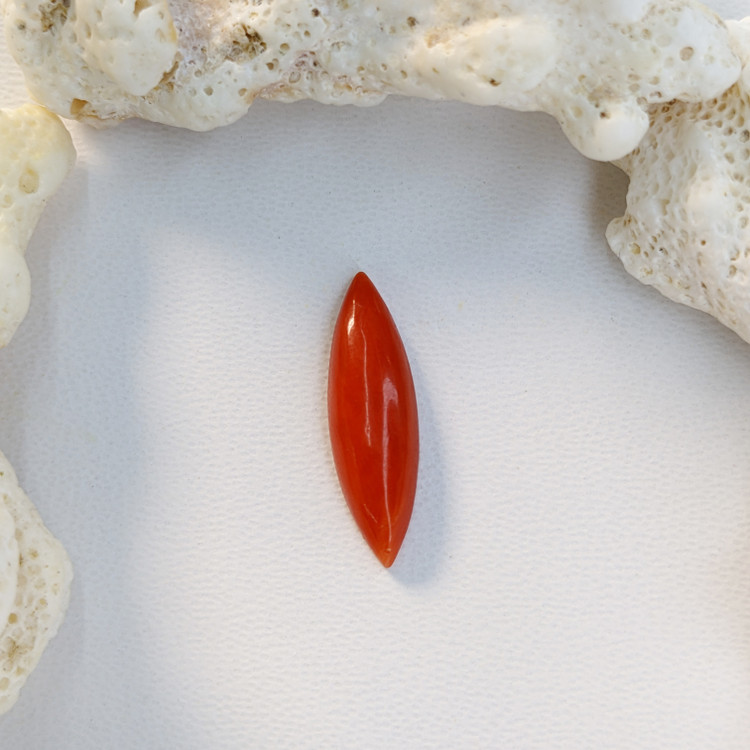 2.63 Ct. Cabochon Coral from Italy