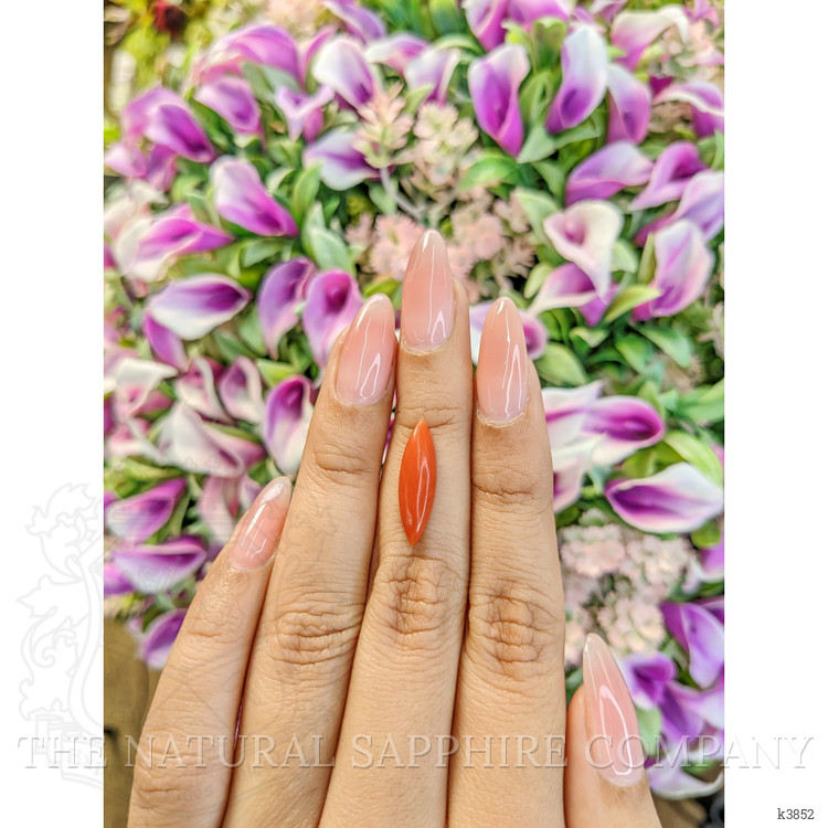 2.63 Ct. Cabochon Coral from Italy