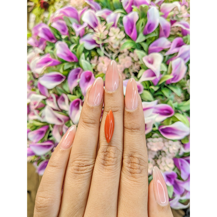 2.63 Ct. Cabochon Coral from Italy