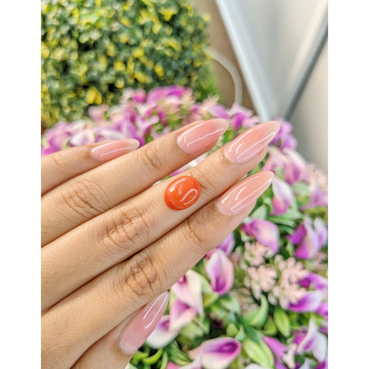 3.71 Ct. Cabochon Coral from Italy