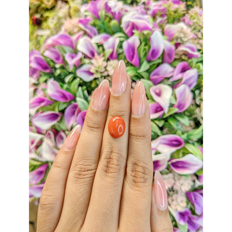 3.71 Ct. Cabochon Coral from Italy