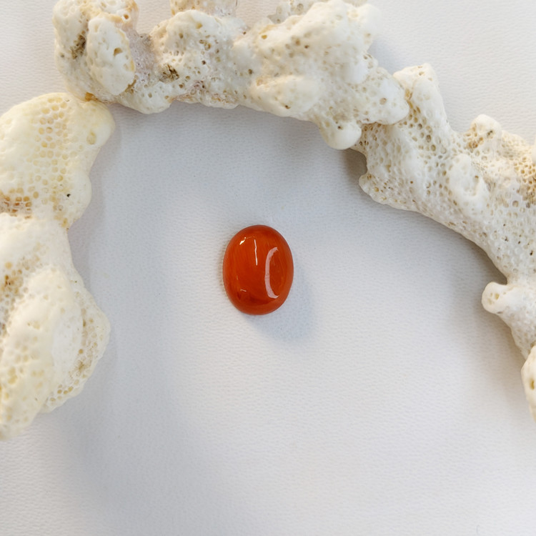 3.71 Ct. Cabochon Coral from Italy