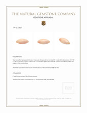 4.54 Ct. Cabochon Coral from Italy Appraisal