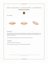 4.54 Ct. Cabochon Coral from Italy Appraisal