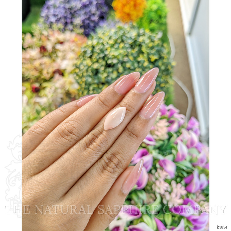 4.54 Ct. Cabochon Coral from Italy