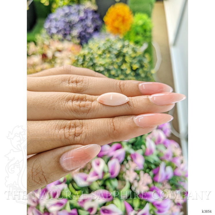 4.54 Ct. Cabochon Coral from Italy