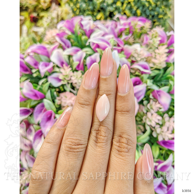 4.54 Ct. Cabochon Coral from Italy