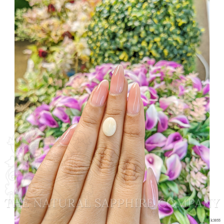 2.17 Ct. Cabochon Coral from Italy