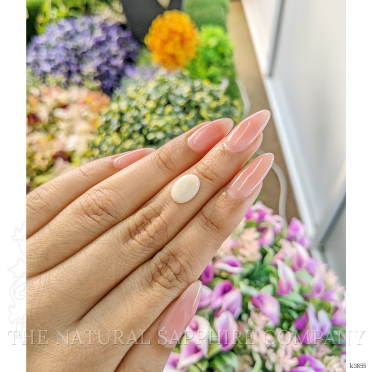 2.17 Ct. Cabochon Coral from Italy