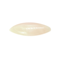 4.78 Ct. Cabochon Coral from Italy Video