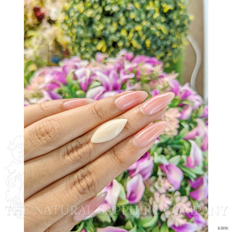 4.78 Ct. Cabochon Coral from Italy