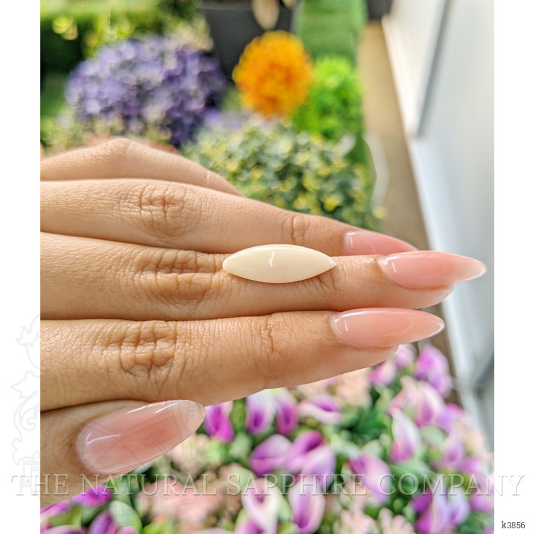 4.78 Ct. Cabochon Coral from Italy