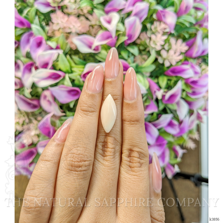 4.78 Ct. Cabochon Coral from Italy