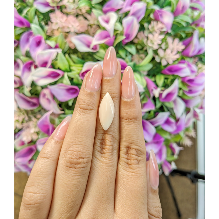 4.78 Ct. Cabochon Coral from Italy