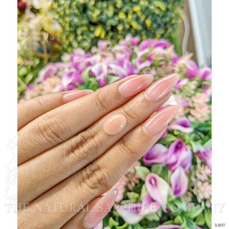 2.42 Ct. Cabochon Coral from Italy