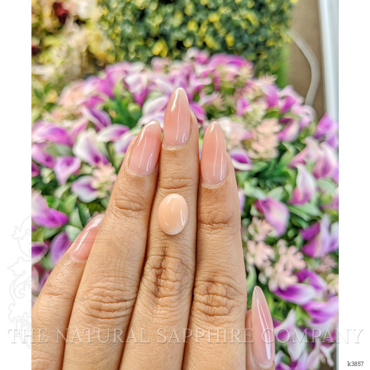 2.42 Ct. Cabochon Coral from Italy