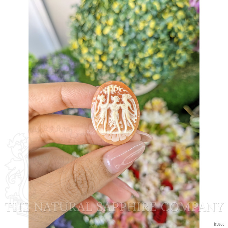 10.58 Ct. Coral from Italy