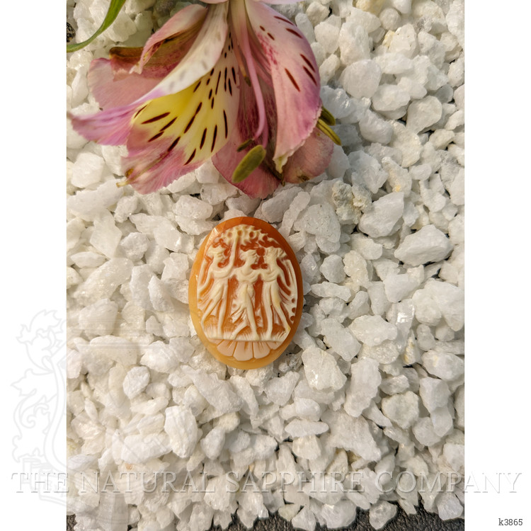 10.58 Ct. Coral from Italy