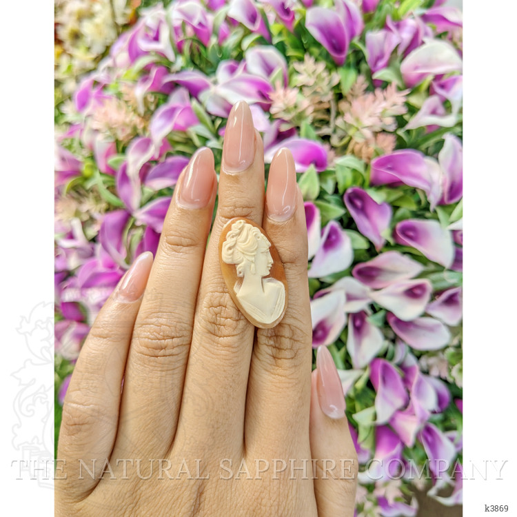 9.33 Ct. Coral from Italy