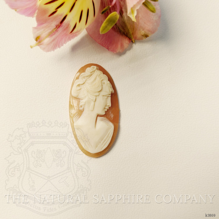 9.33 Ct. Coral from Italy