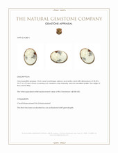 13.45 Ct. Coral from Italy Appraisal