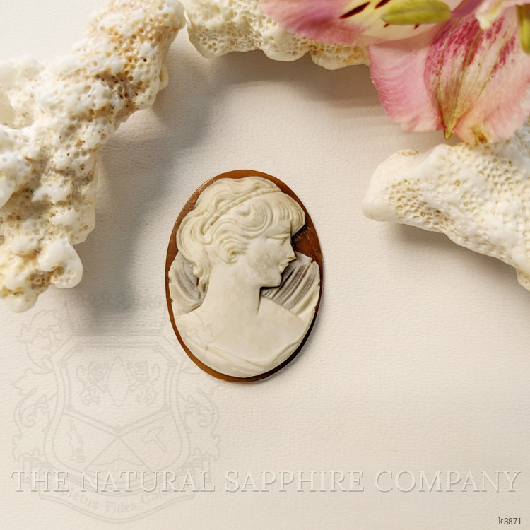 13.45 Ct. Coral from Italy