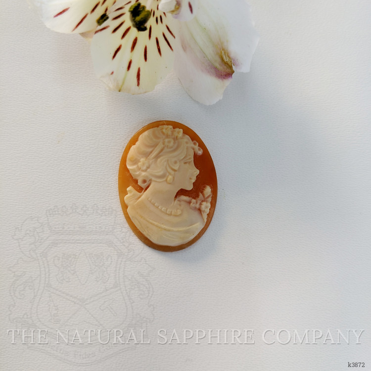 10.93 Ct. Coral from Italy