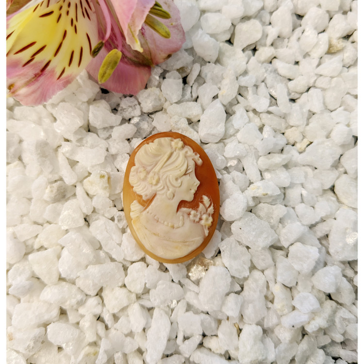 13.33 Ct. Coral from Italy