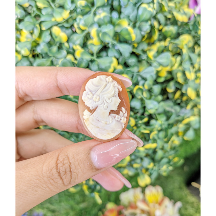 13.33 Ct. Coral from Italy