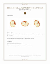 17.64 Ct. Coral from Italy Appraisal