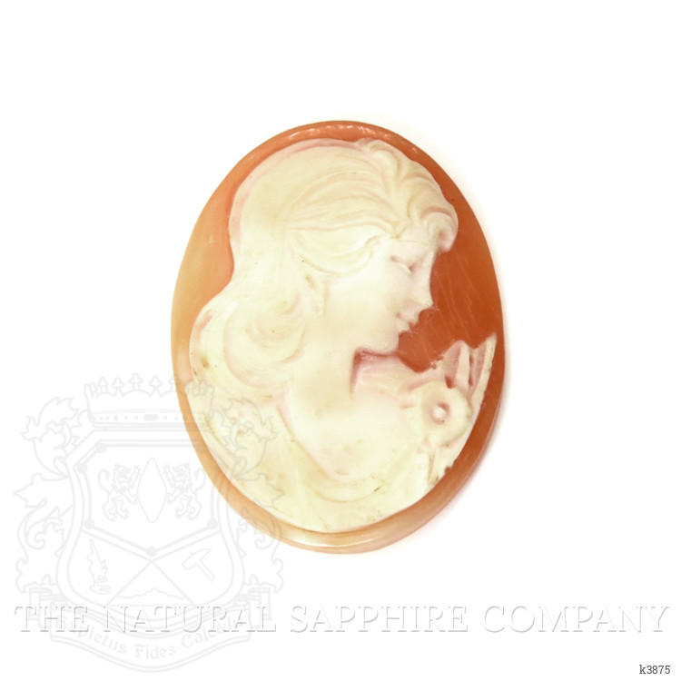 17.64 Ct. Coral from Italy