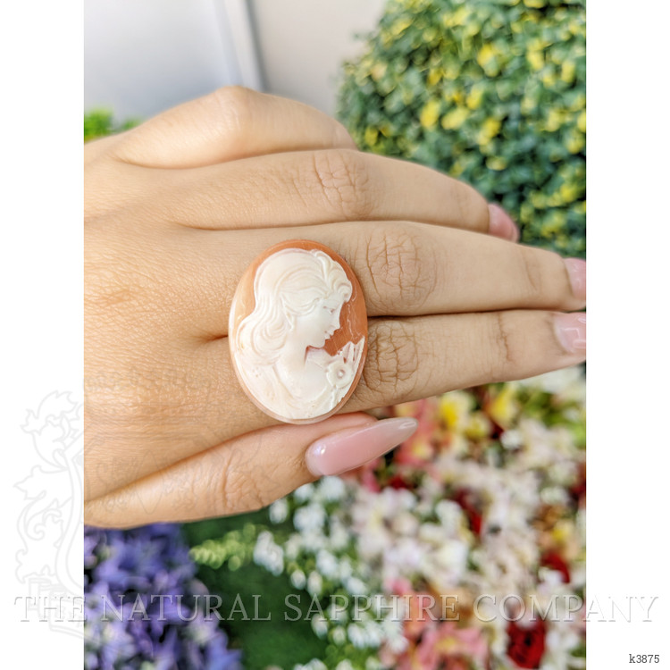 17.64 Ct. Coral from Italy