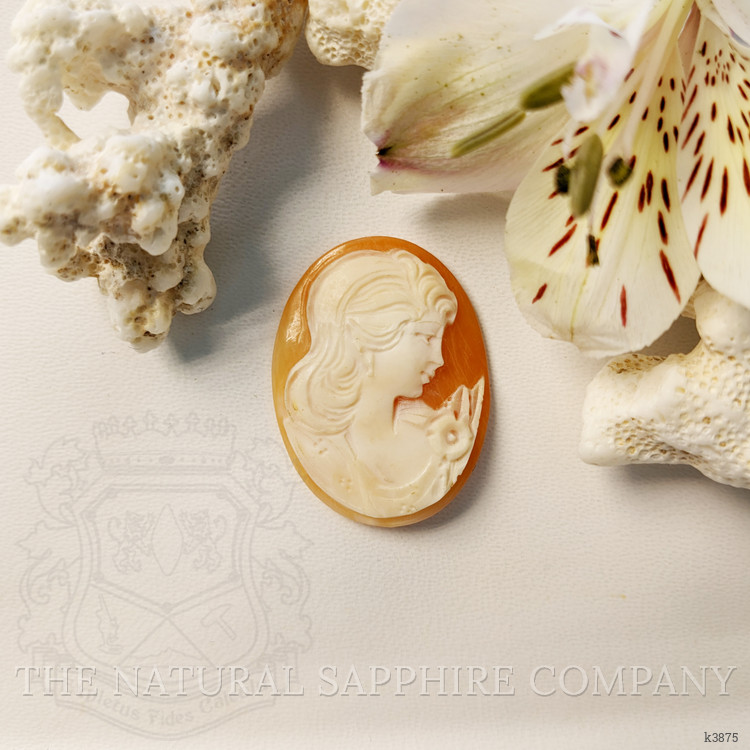 17.64 Ct. Coral from Italy