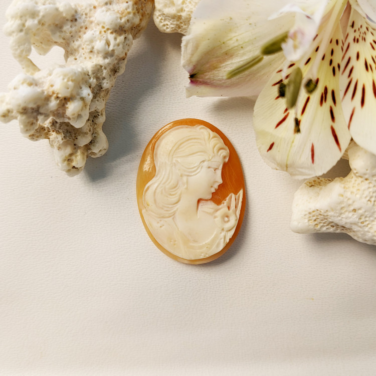 17.64 Ct. Coral from Italy