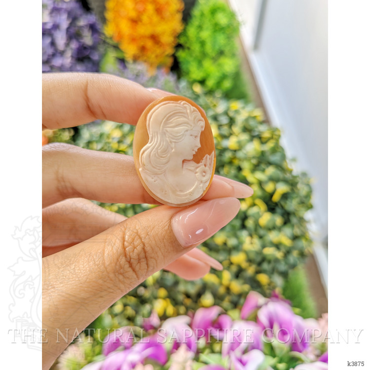 17.64 Ct. Coral from Italy