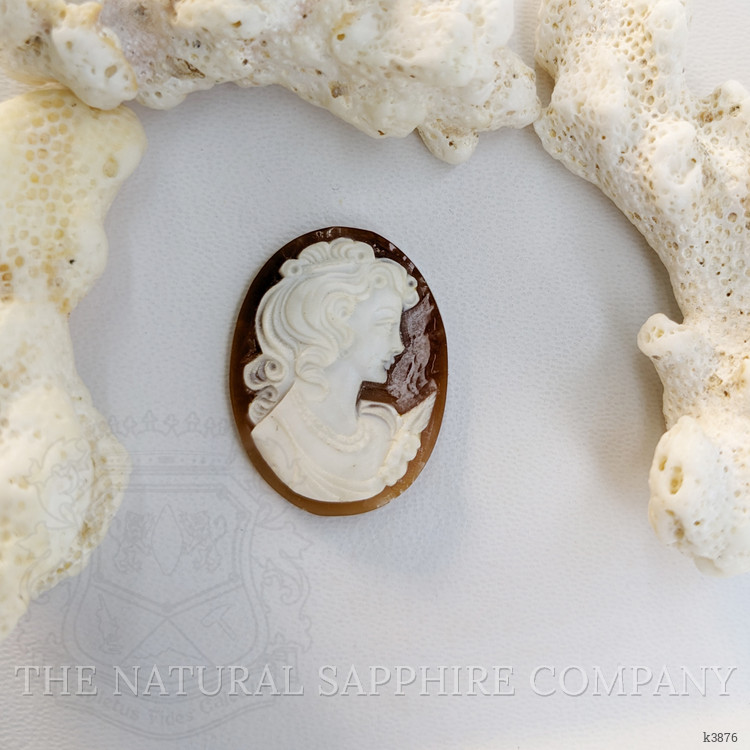 12.22 Ct. Coral from Italy