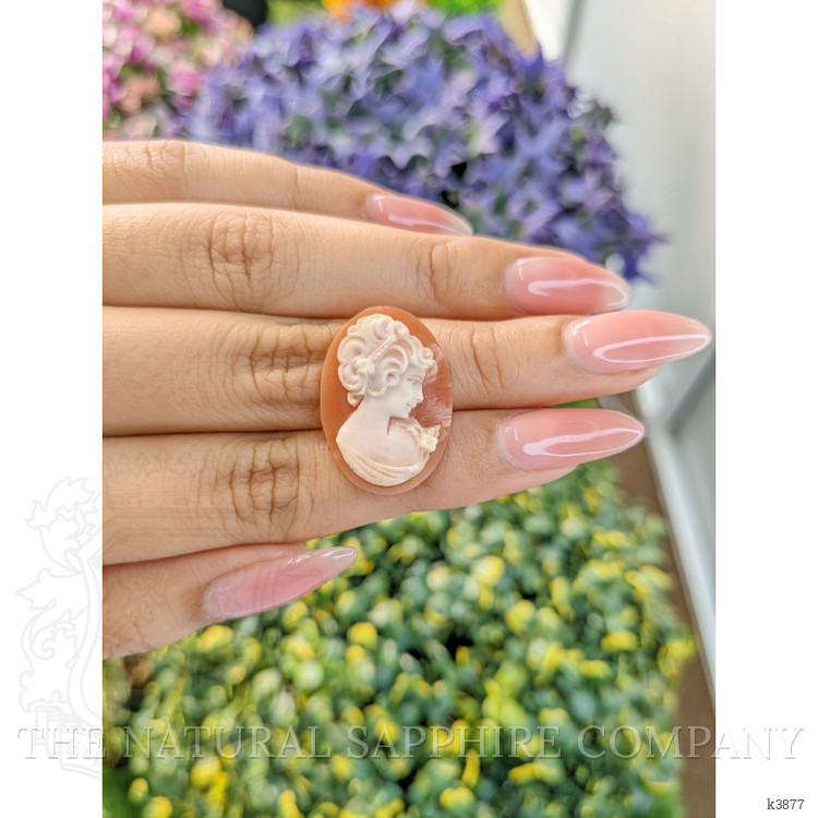 12.17 Ct. Coral from Italy