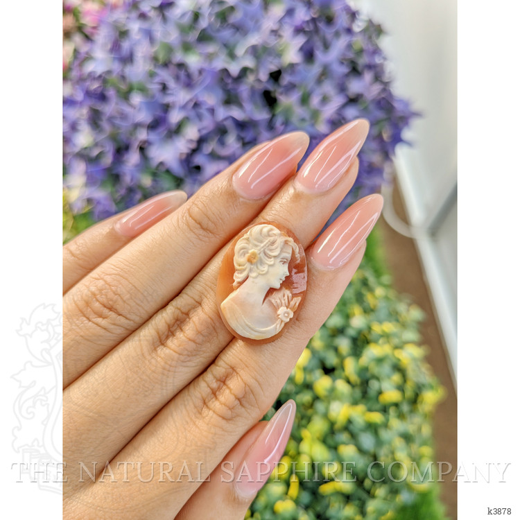 12.68 Ct. Coral from Italy